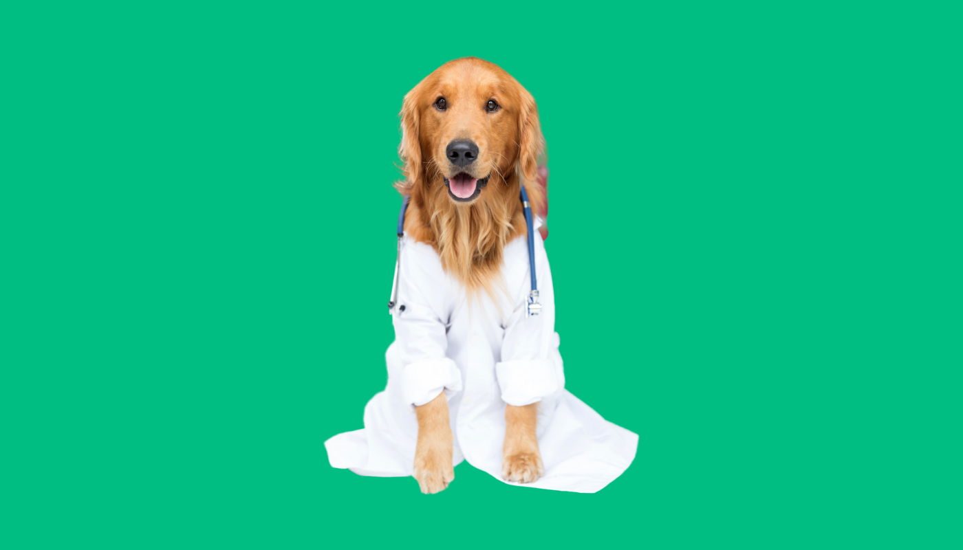 <span id="hs_cos_wrapper_name" class="hs_cos_wrapper hs_cos_wrapper_meta_field hs_cos_wrapper_type_text" style="" data-hs-cos-general-type="meta_field" data-hs-cos-type="text" >Matériel vétérinaire : comment équiper une clinique vétérinaire de A à Z</span>